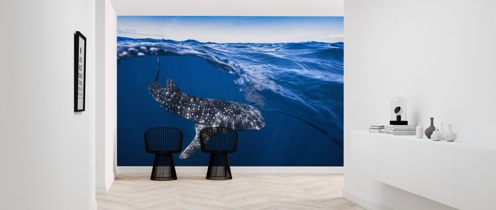 輸入壁紙 カスタム壁紙 PHOTOWALL / Whale Shark on Split Level (e323987)