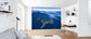 輸入壁紙 カスタム壁紙 PHOTOWALL / Whale Shark on Split Level (e323987)