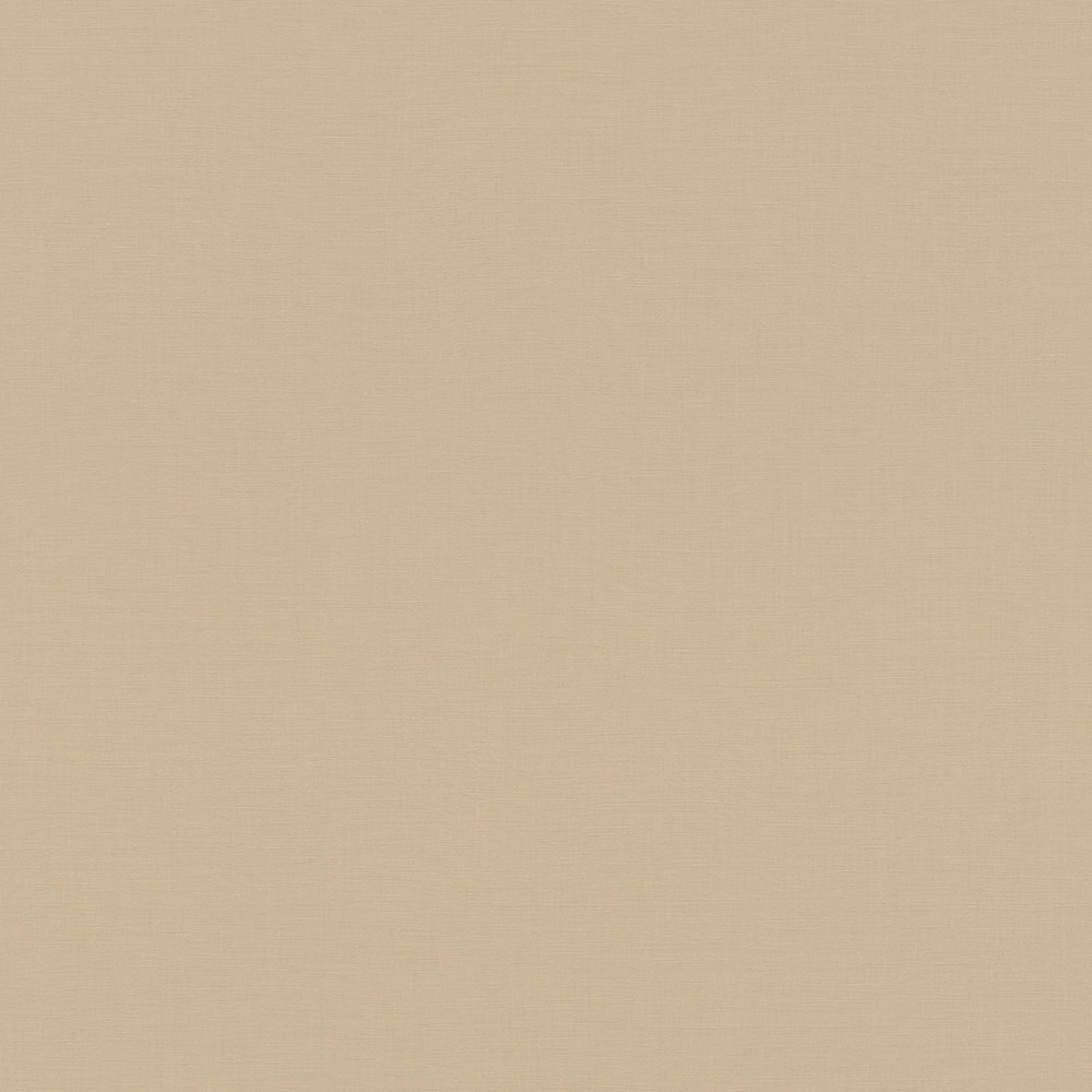 輸入壁紙 rasch / ラッシュ / 690774