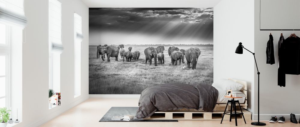 輸入壁紙 カスタム壁紙 PHOTOWALL / Breakfast with Pachyderms (e324030)