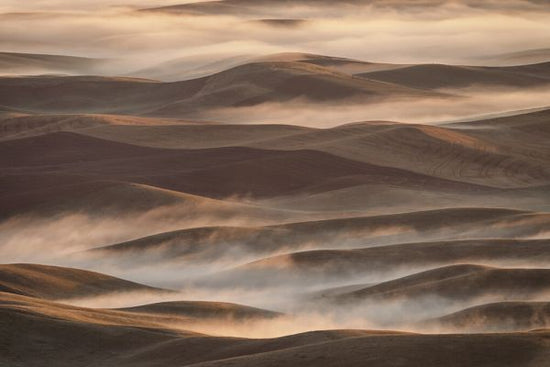 輸入壁紙 カスタム壁紙 PHOTOWALL / Early Spring Morning at Palouse (e324036)