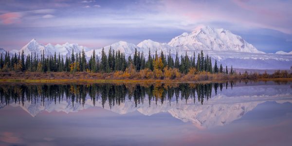 輸入壁紙 カスタム壁紙 PHOTOWALL / Denali Reflection (e324065)