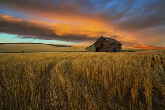 輸入壁紙 カスタム壁紙 PHOTOWALL / Storm Over Palouse (e324068)