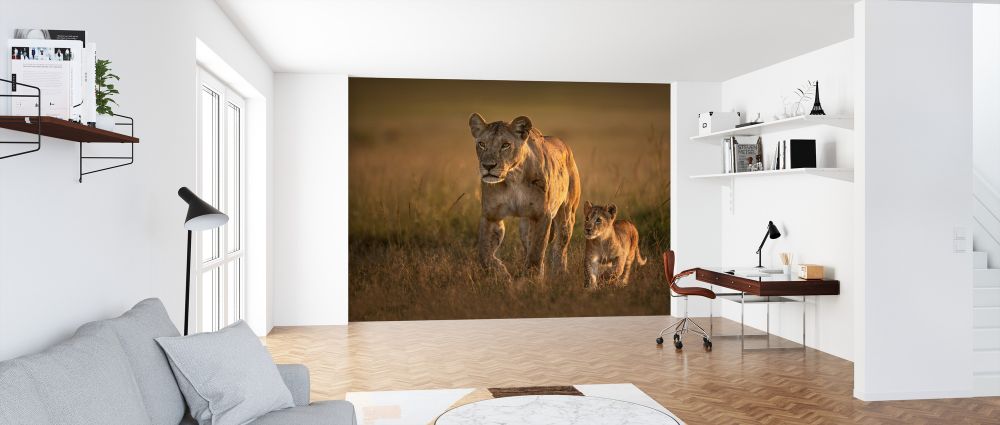 輸入壁紙 カスタム壁紙 PHOTOWALL / Mom Lioness with Cub (e324433)