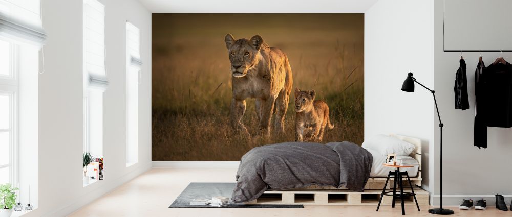 輸入壁紙 カスタム壁紙 PHOTOWALL / Mom Lioness with Cub (e324433)