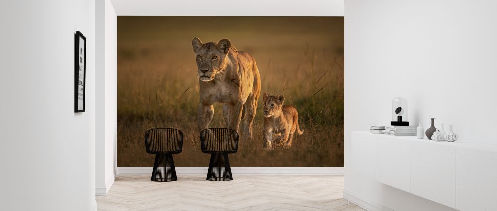 輸入壁紙 カスタム壁紙 PHOTOWALL / Mom Lioness with Cub (e324433)