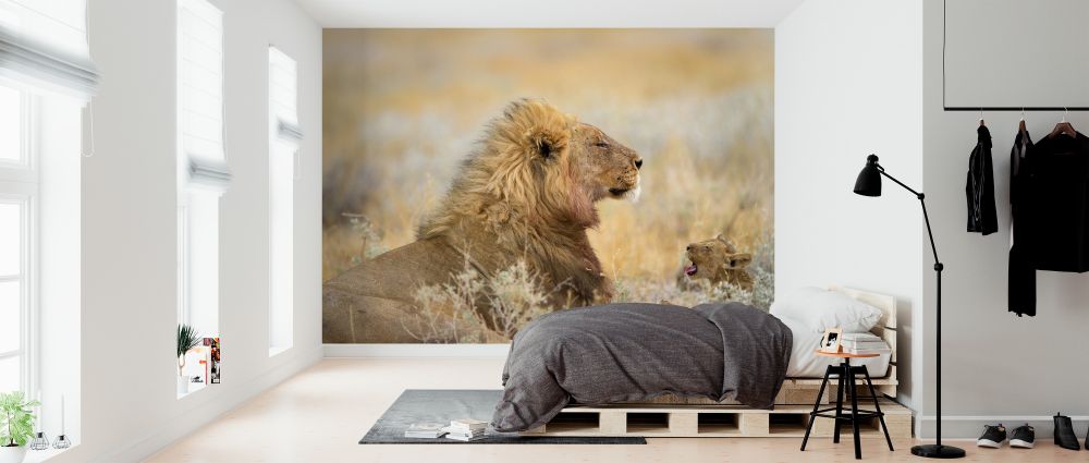 輸入壁紙 カスタム壁紙 PHOTOWALL / Male Lion with Cub (e324469)