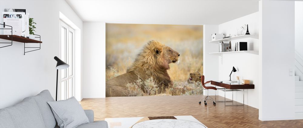 輸入壁紙 カスタム壁紙 PHOTOWALL / Male Lion with Cub (e324469)