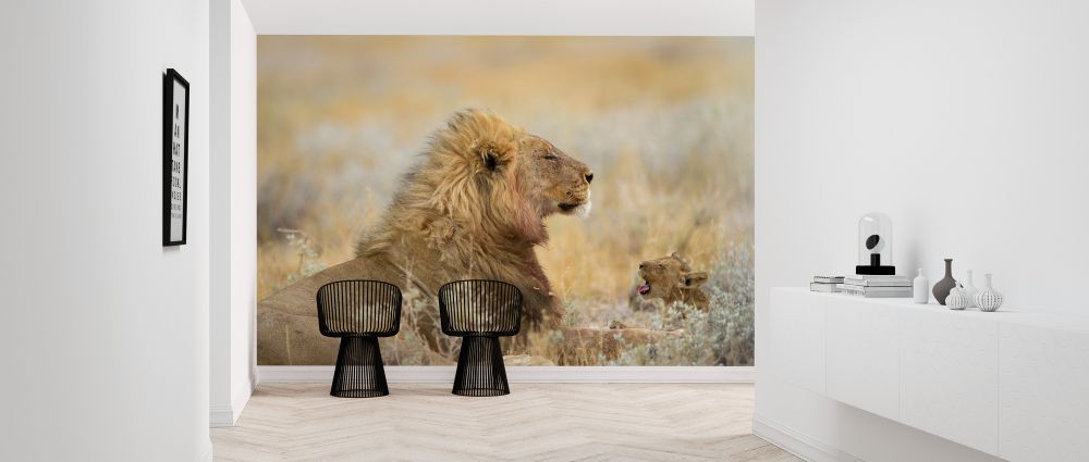 輸入壁紙 カスタム壁紙 PHOTOWALL / Male Lion with Cub (e324469)