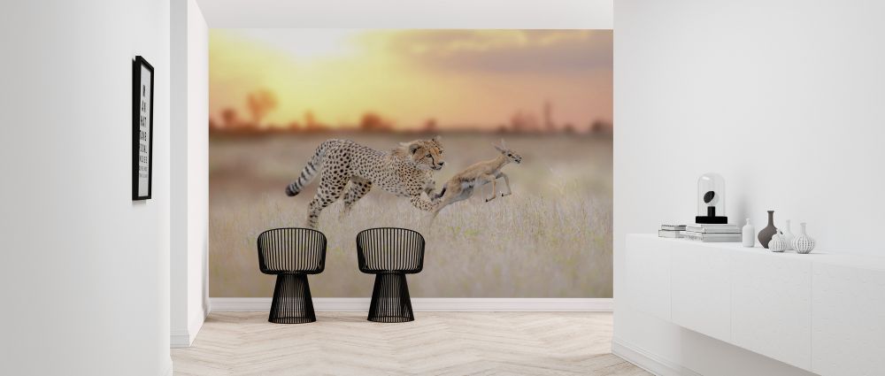 輸入壁紙 カスタム壁紙 PHOTOWALL / Cheetah Hunting a Gazelle (e324479)