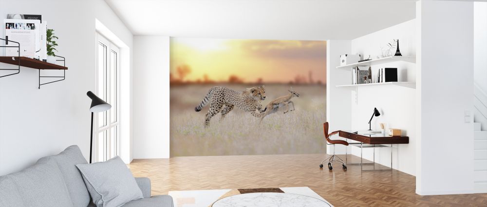 輸入壁紙 カスタム壁紙 PHOTOWALL / Cheetah Hunting a Gazelle (e324479)