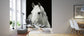 輸入壁紙 カスタム壁紙 PHOTOWALL / White Stallion - Erich Lessing (e325898)