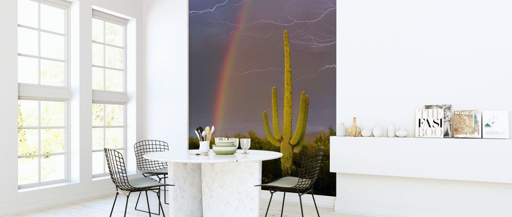 輸入壁紙 カスタム壁紙 PHOTOWALL / Rainbow and Lightning over Cactus (e324534)