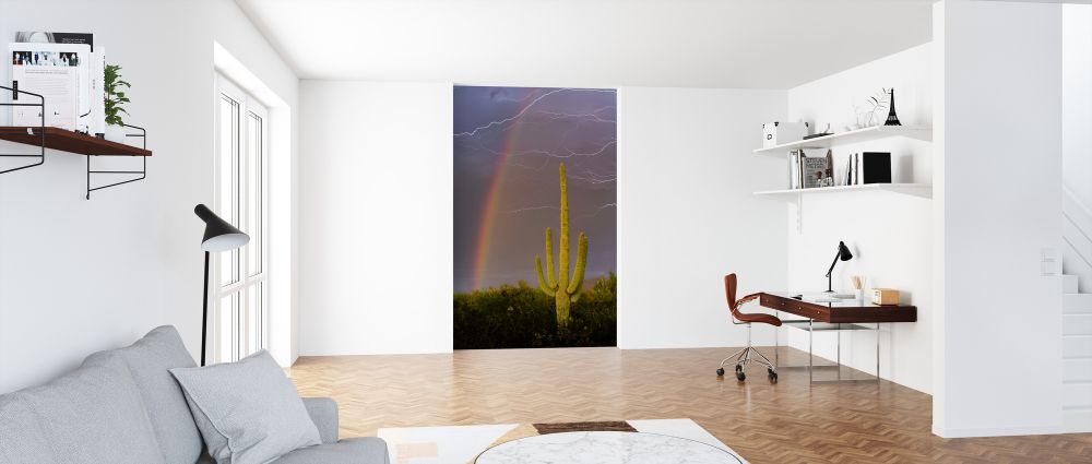 輸入壁紙 カスタム壁紙 PHOTOWALL / Rainbow and Lightning over Cactus (e324534)