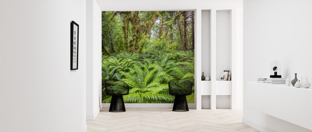 輸入壁紙 カスタム壁紙 PHOTOWALL / Western Sword Fern in Rainforest (e324560)