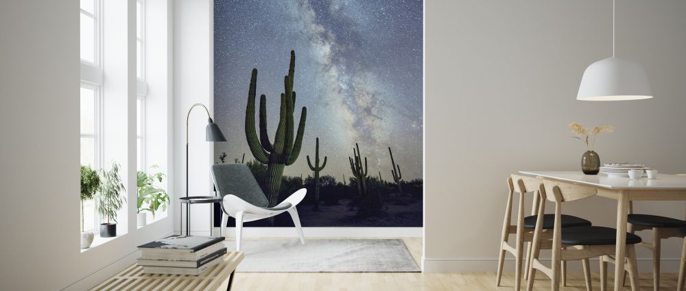 輸入壁紙 カスタム壁紙 PHOTOWALL / Saguaro Cacti at Night (e324562)