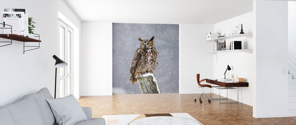 輸入壁紙 カスタム壁紙 PHOTOWALL / Great Horned Owl (e324997)