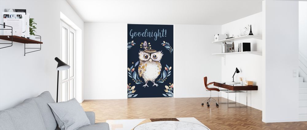 輸入壁紙 カスタム壁紙 PHOTOWALL / Cute Owl Painting (e325030)