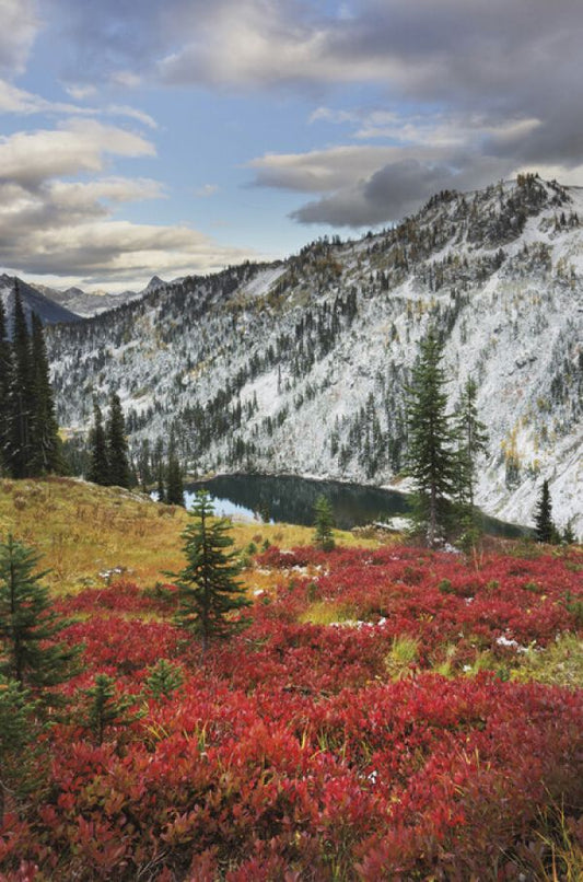 輸入壁紙 カスタム壁紙 PHOTOWALL / Lake Ann North Cascades (e325325)