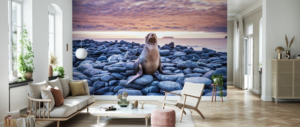 輸入壁紙 カスタム壁紙 PHOTOWALL / Sea Lion on Rocks (e327020)