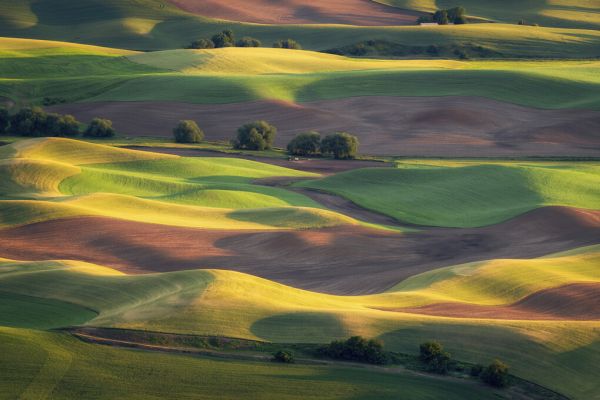 輸入壁紙 カスタム壁紙 PHOTOWALL / Colorful Palouse (e327070)