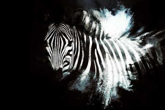 輸入壁紙 カスタム壁紙 PHOTOWALL / Wild Explosion - The Zebra II (e328606)