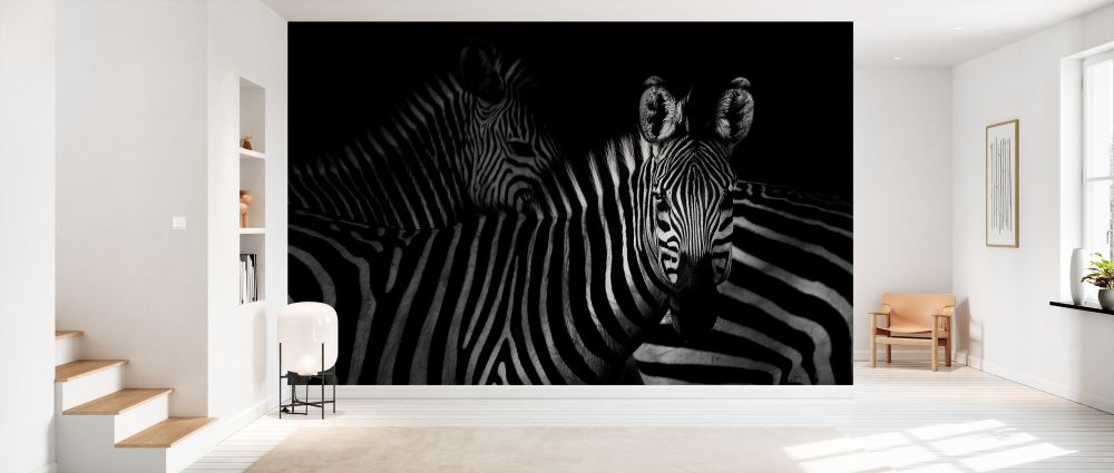 輸入壁紙 カスタム壁紙 PHOTOWALL / Zebras (e328168)