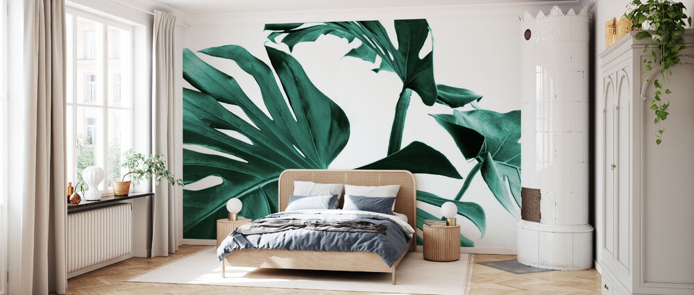 輸入壁紙 カスタム壁紙 PHOTOWALL / Monstera Leaves (e327862)