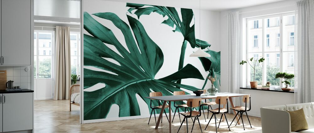 輸入壁紙 カスタム壁紙 PHOTOWALL / Monstera Leaves (e327862)