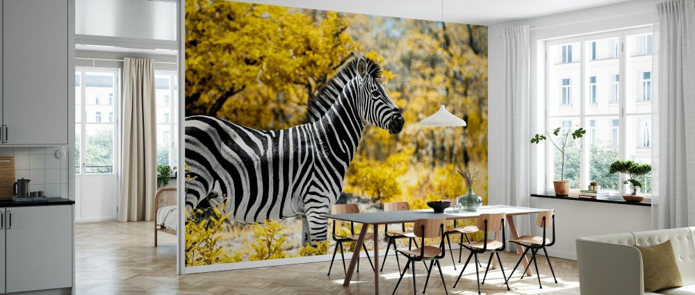 輸入壁紙 カスタム壁紙 PHOTOWALL / Awesome South Africa - Burchell&#039;s Zebra (e328617)