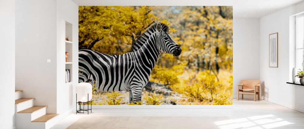 輸入壁紙 カスタム壁紙 PHOTOWALL / Awesome South Africa - Burchell&#039;s Zebra (e328617)