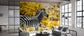 輸入壁紙 カスタム壁紙 PHOTOWALL / Awesome South Africa - Burchell&#039;s Zebra (e328617)