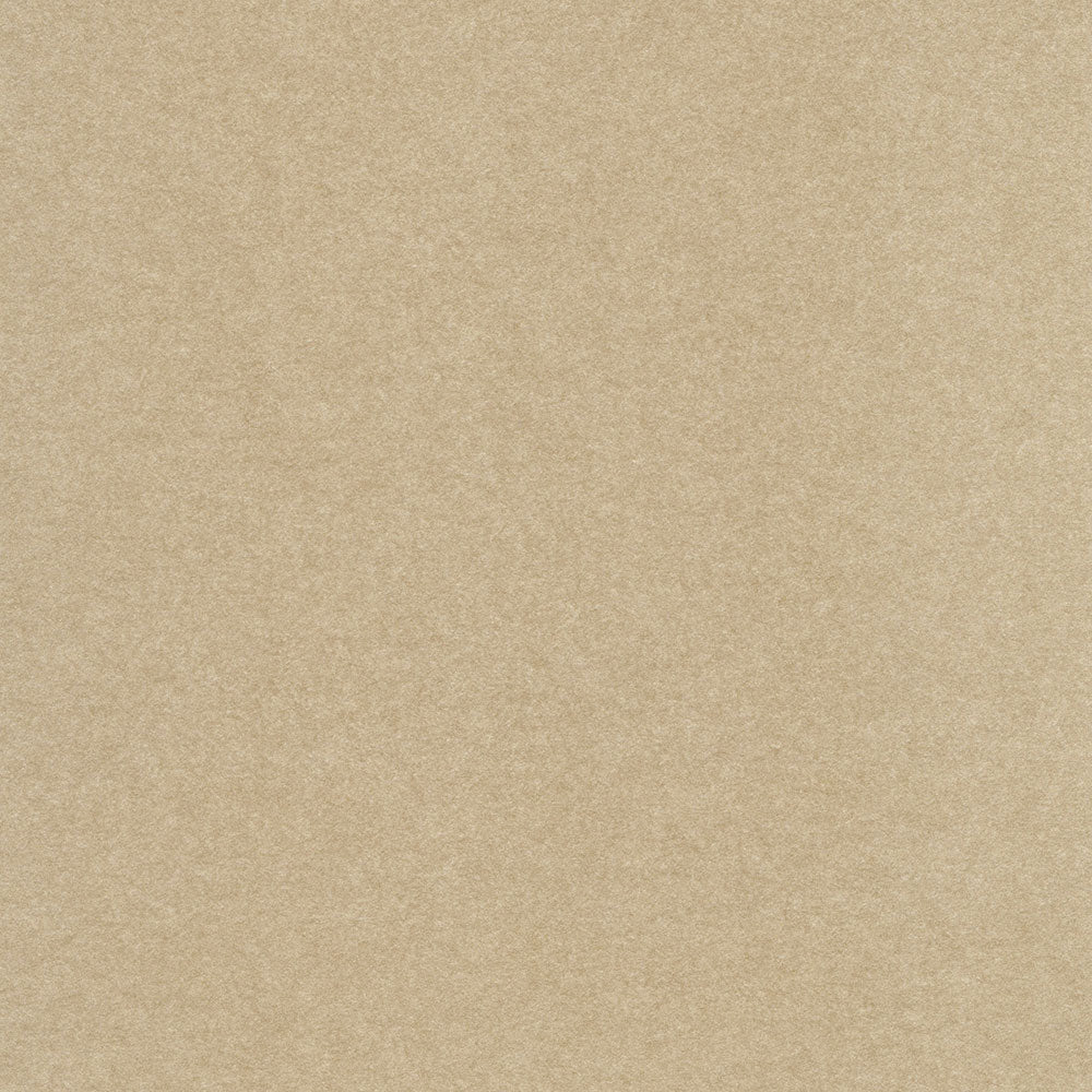 輸入壁紙 Marburg (マルブルグ) / ULF MORITZ SCALA / 74804