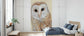 輸入壁紙 カスタム壁紙 PHOTOWALL / Common Barn Owl (e327494)