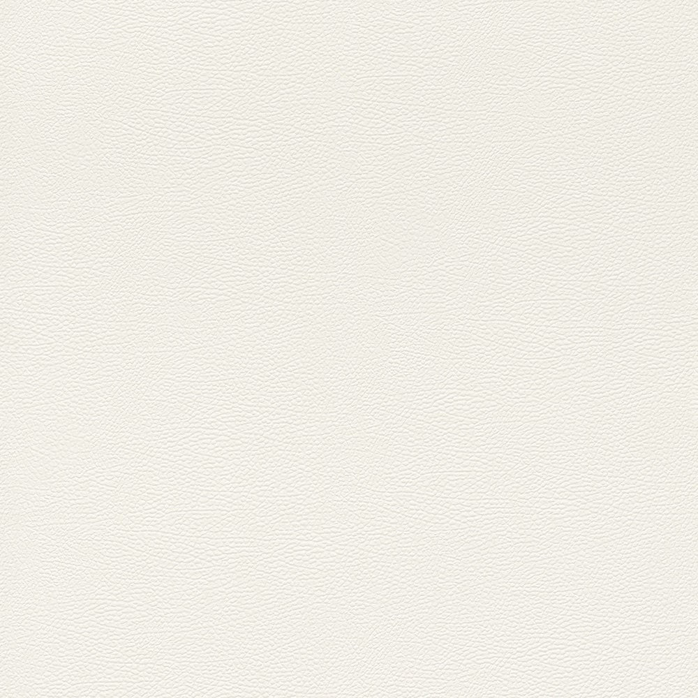 輸入壁紙 rasch / ラッシュ / 752632