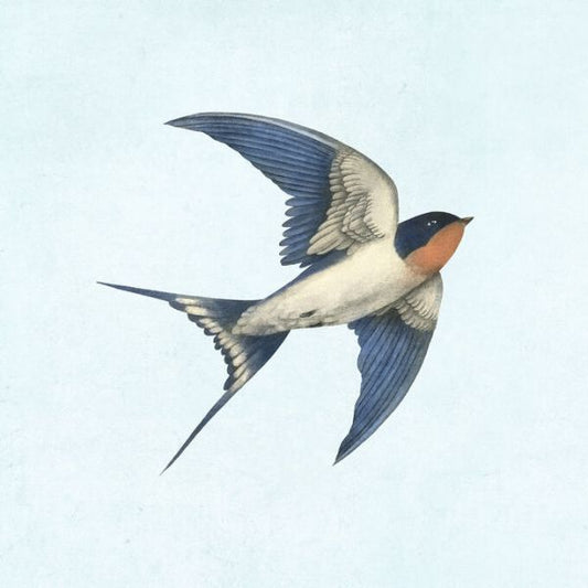 輸入壁紙 カスタム壁紙 PHOTOWALL / Barn Swallow on Blue (e330732)