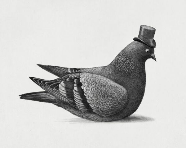 輸入壁紙 カスタム壁紙 PHOTOWALL / Dapper Pigeon (e330750)