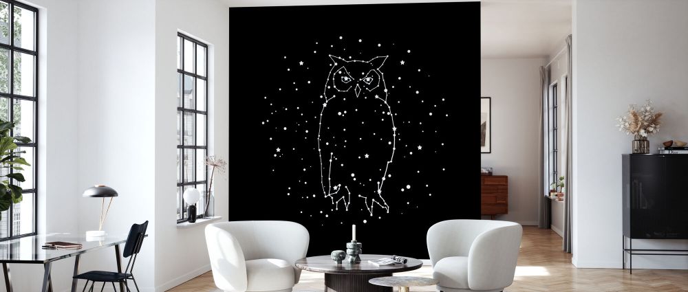 輸入壁紙 カスタム壁紙 PHOTOWALL / Owl Constellation (e330772)