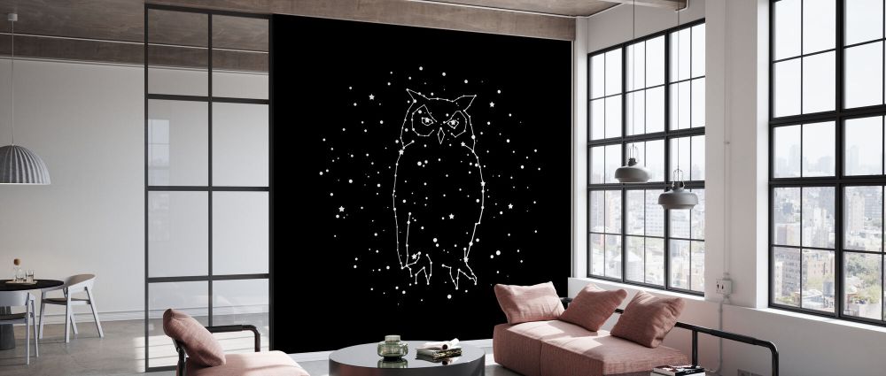 輸入壁紙 カスタム壁紙 PHOTOWALL / Owl Constellation (e330772)