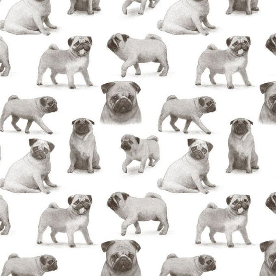 輸入壁紙 カスタム壁紙 PHOTOWALL / Pug Pattern (e330777)