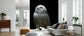 輸入壁紙 カスタム壁紙 PHOTOWALL / Snowy Owl Looks to the Sun (e330983)