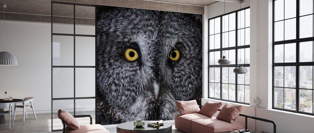 輸入壁紙 カスタム壁紙 PHOTOWALL / Great Grey Owl (e330993)