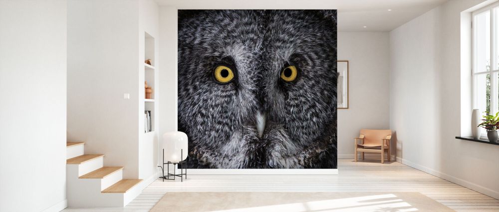 輸入壁紙 カスタム壁紙 PHOTOWALL / Great Grey Owl (e330993)