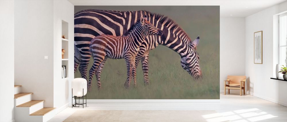 輸入壁紙 カスタム壁紙 PHOTOWALL / Zebra and Foal (e331660)