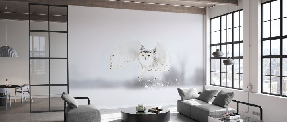 輸入壁紙 カスタム壁紙 PHOTOWALL / Snowy Owl Taking Flight (e331966)