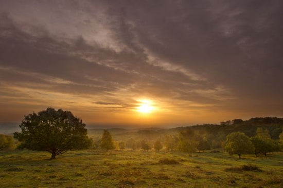 輸入壁紙 カスタム壁紙 PHOTOWALL / Sun Rising Over Hillside with Trees (e332055)