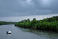 輸入壁紙 カスタム壁紙 PHOTOWALL / Boat in the Sundarbans National Park (e332058)