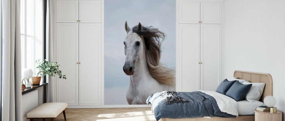 輸入壁紙 カスタム壁紙 PHOTOWALL / Grey Andalusian Stallion (e332060)