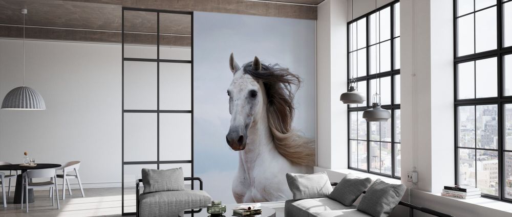 輸入壁紙 カスタム壁紙 PHOTOWALL / Grey Andalusian Stallion (e332060)