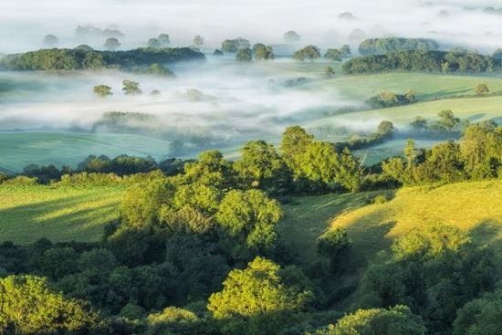 輸入壁紙 カスタム壁紙 PHOTOWALL / Marshwood Vale in Morning Mist (e331928)